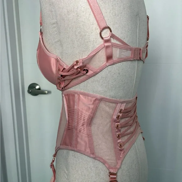 Honey Birdette Jerry Bra, Brief, and garter Blush Pink Bra Full Set - Picture 7 of 12